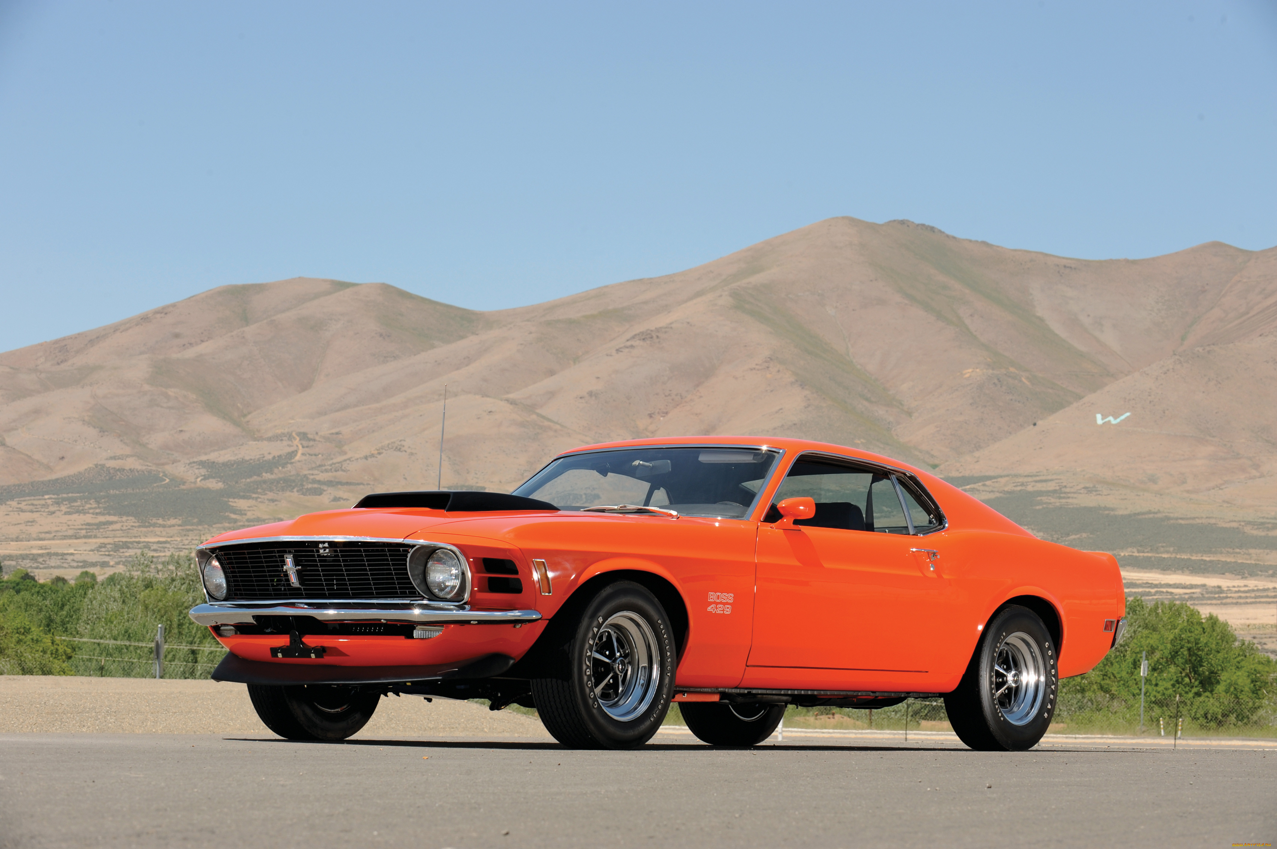 , mustang